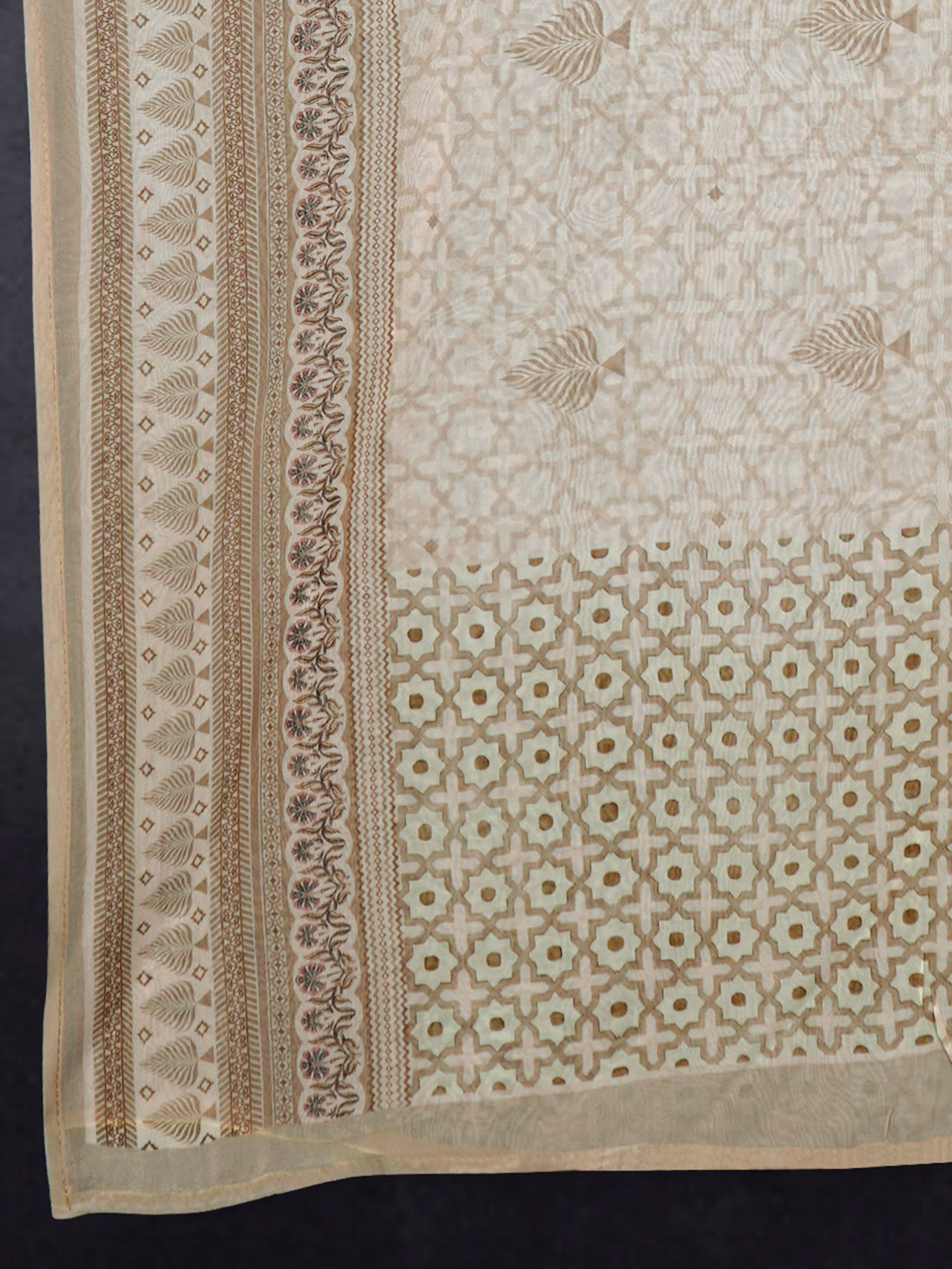 Luxe Organza Base Dupatta Chiku
